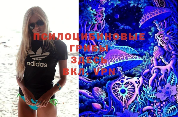винт Баксан