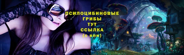 винт Баксан