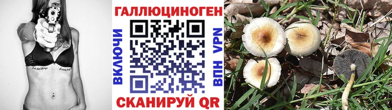ссылка на мегу сайт  сколько стоит  Себеж  сайты даркнета официальный сайт  Псилоцибиновые грибы MAGIC MUSHROOMS 